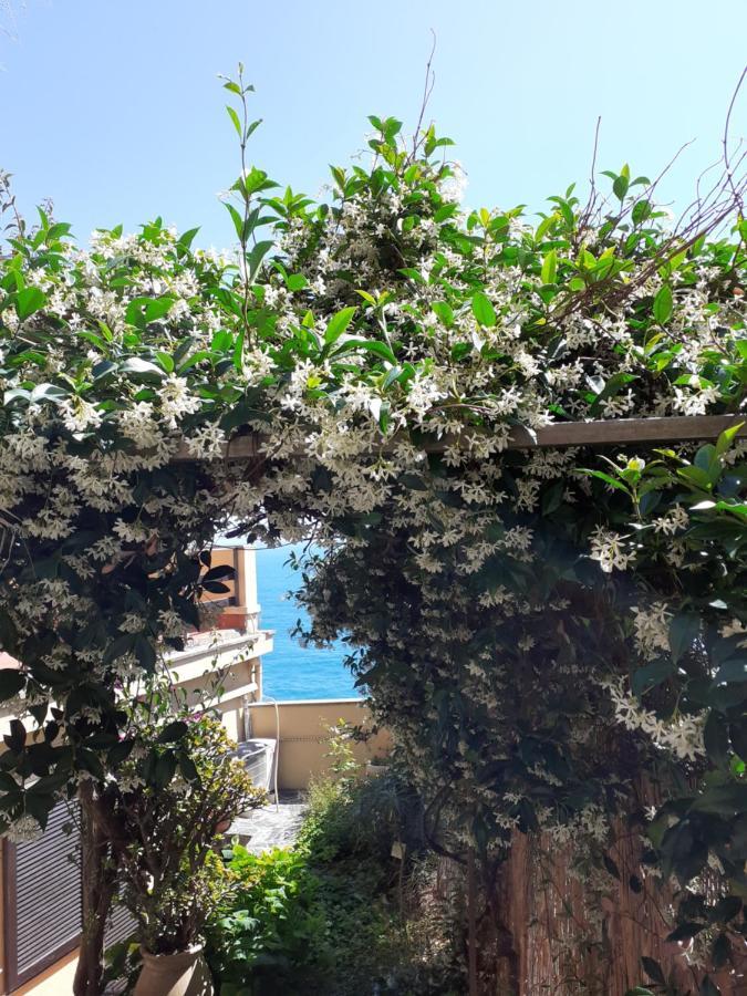 Raggio Di Luna Manarola Kültér fotó